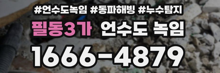 필동3가 언수도 녹임