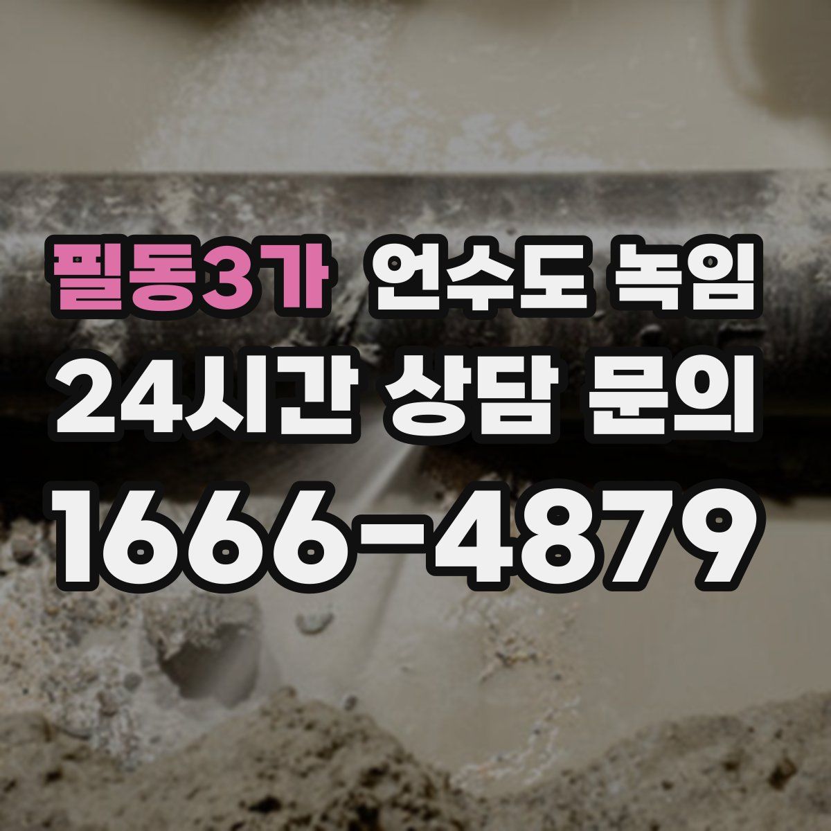 필동3가 언수도 녹임