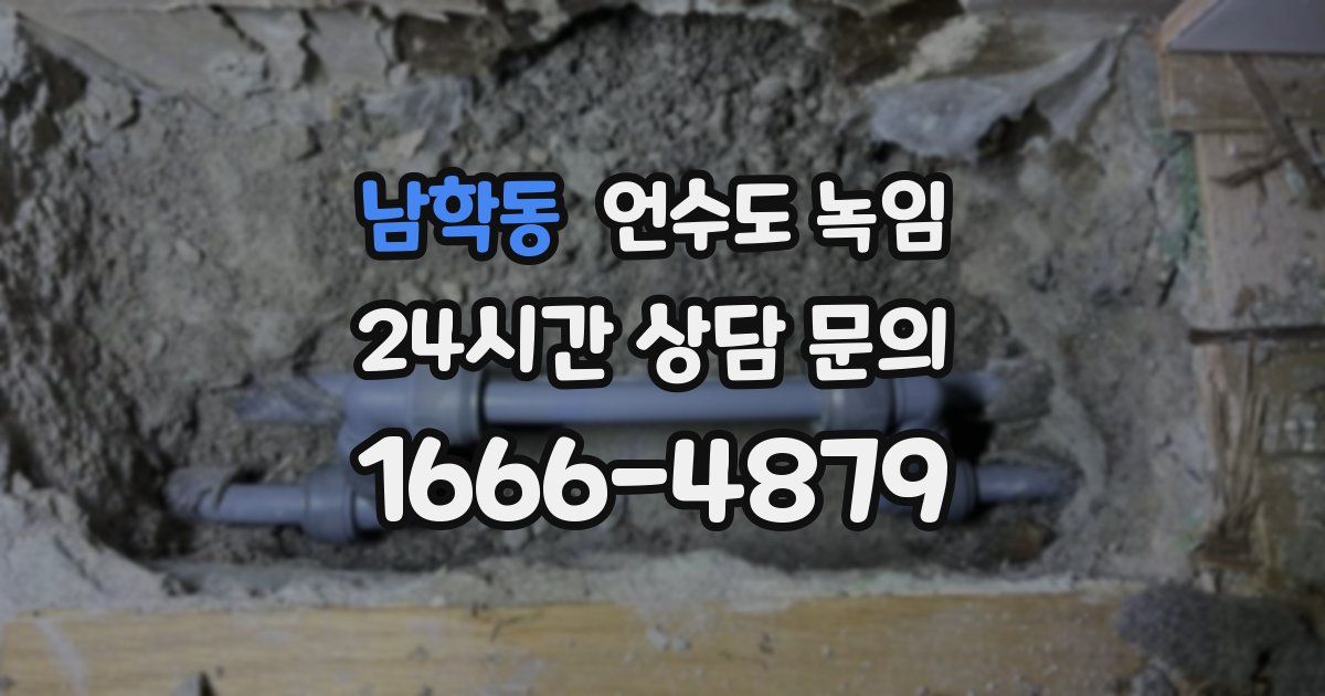 남학동 언수도 녹임
