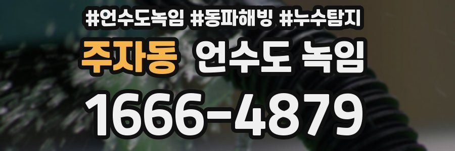 주자동 언수도 녹임