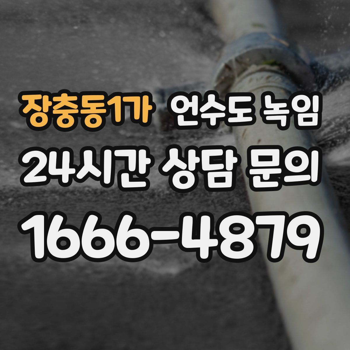 장충동1가 언수도 녹임