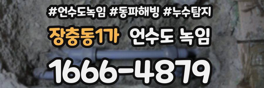 장충동1가 언수도 녹임