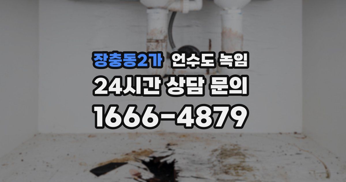 장충동2가 언수도 녹임