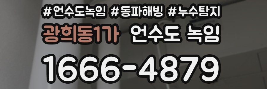 광희동1가 언수도 녹임