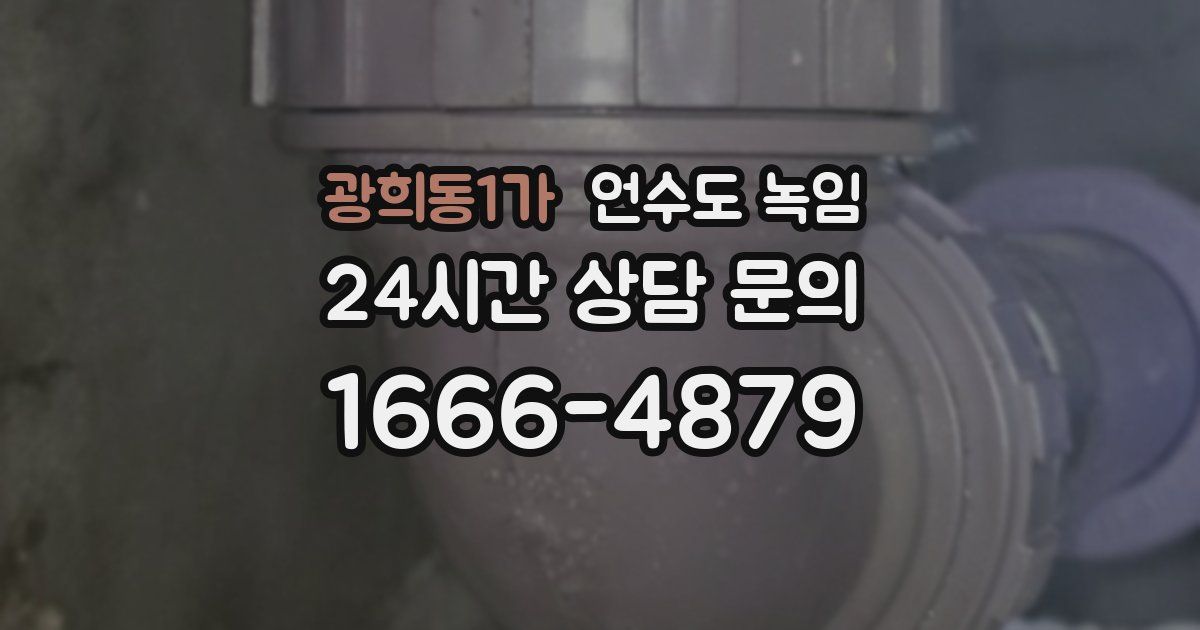 광희동1가 언수도 녹임