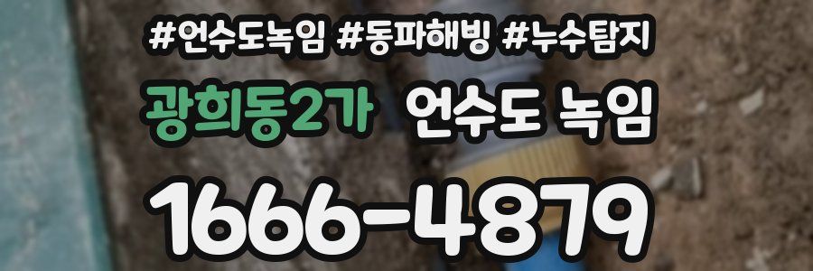 광희동2가 언수도 녹임
