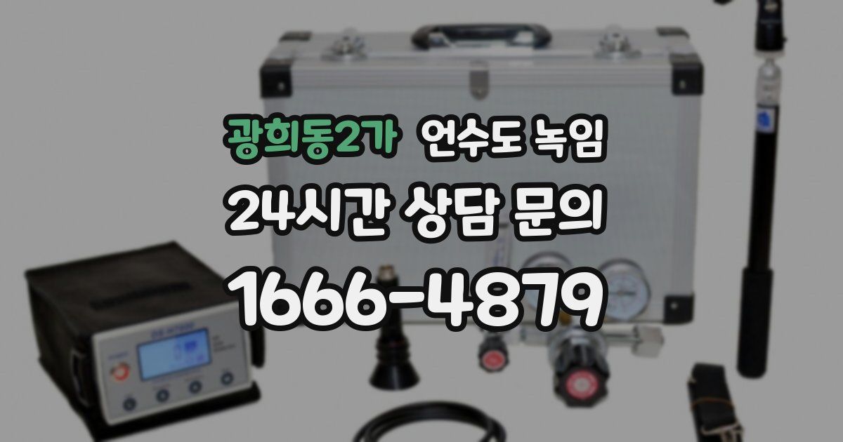 광희동2가 언수도 녹임