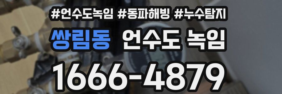 쌍림동 언수도 녹임