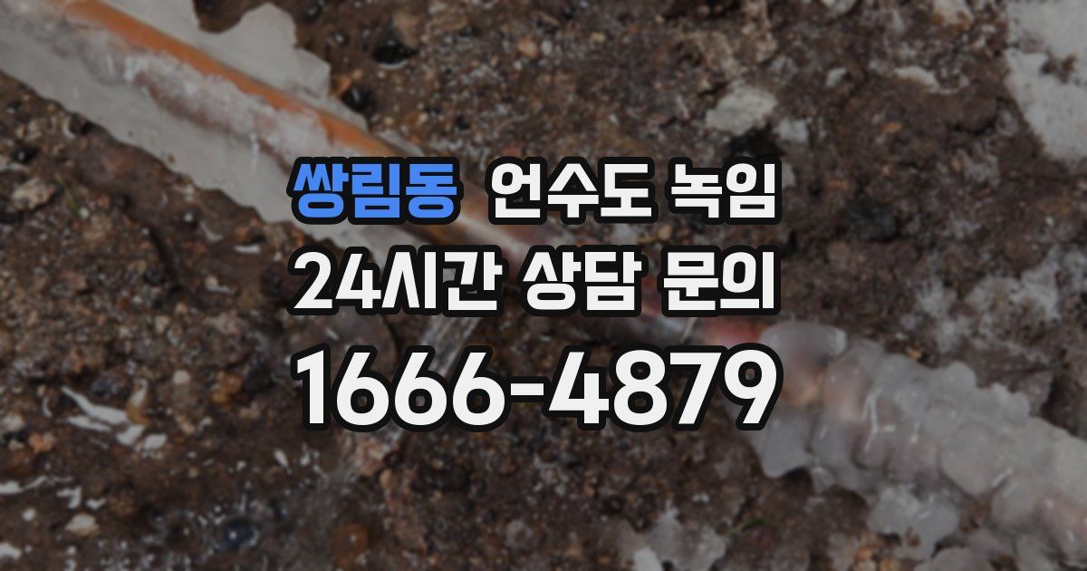 쌍림동 언수도 녹임