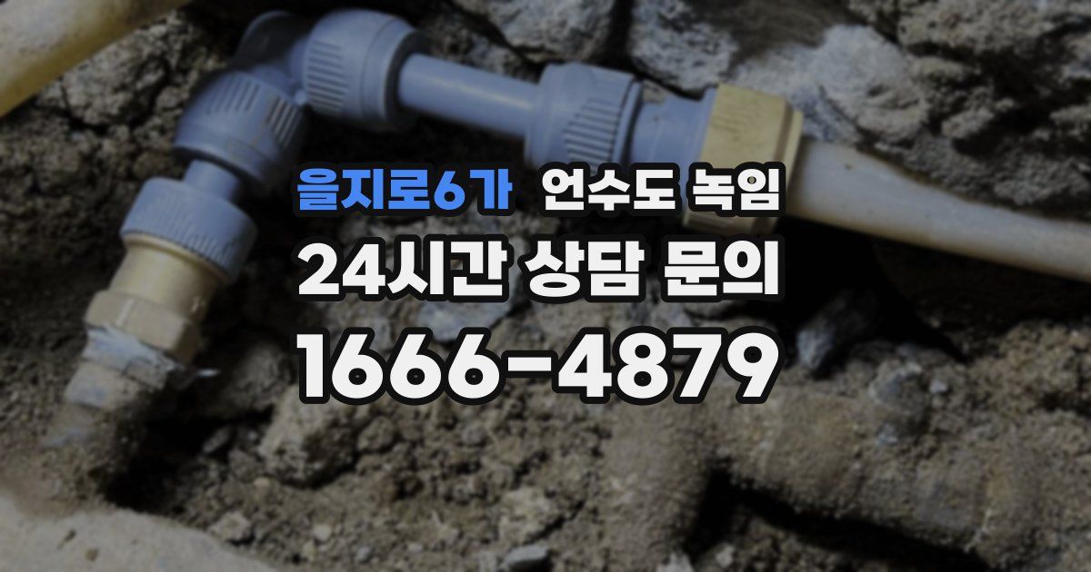 을지로6가 언수도 녹임