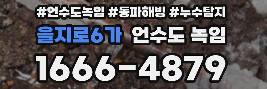 을지로6가 언수도 녹임