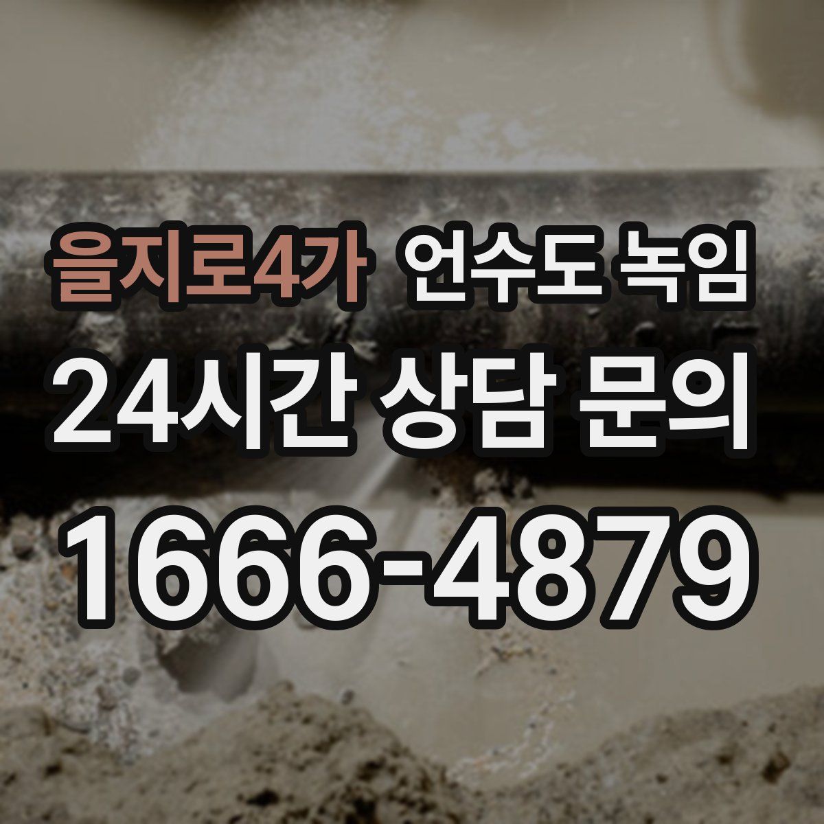 을지로4가 언수도 녹임