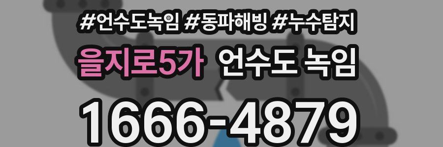 을지로5가 언수도 녹임