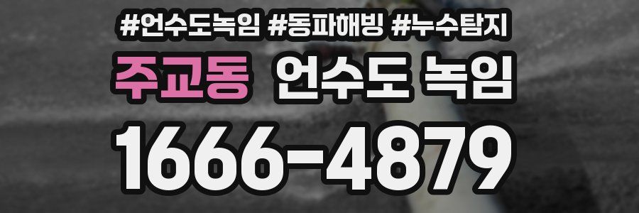 주교동 언수도 녹임