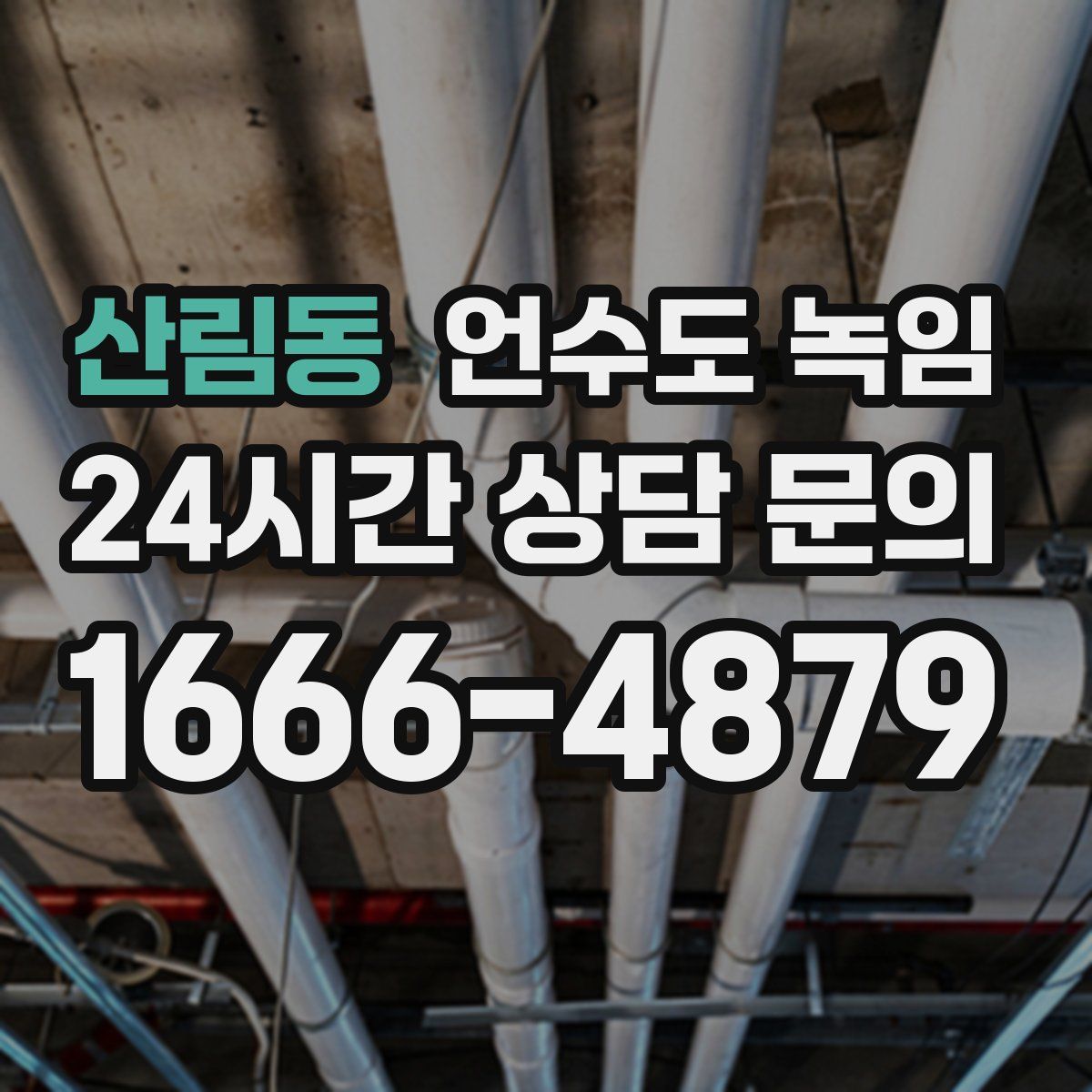 산림동 언수도 녹임