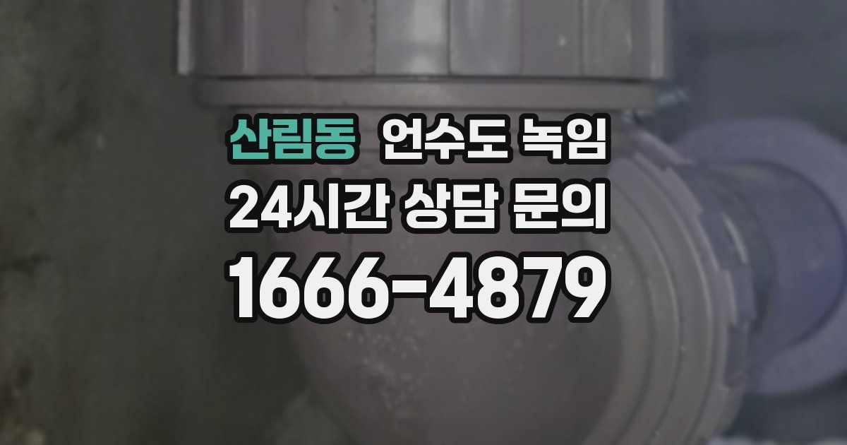 산림동 언수도 녹임