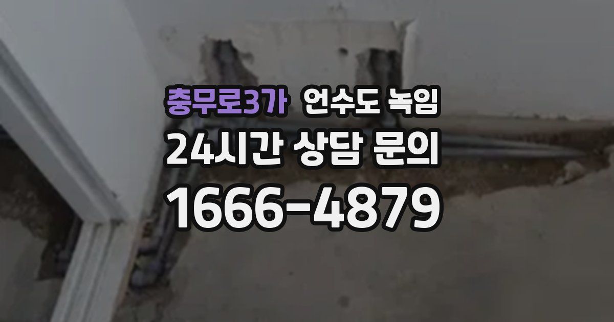 충무로3가 언수도 녹임