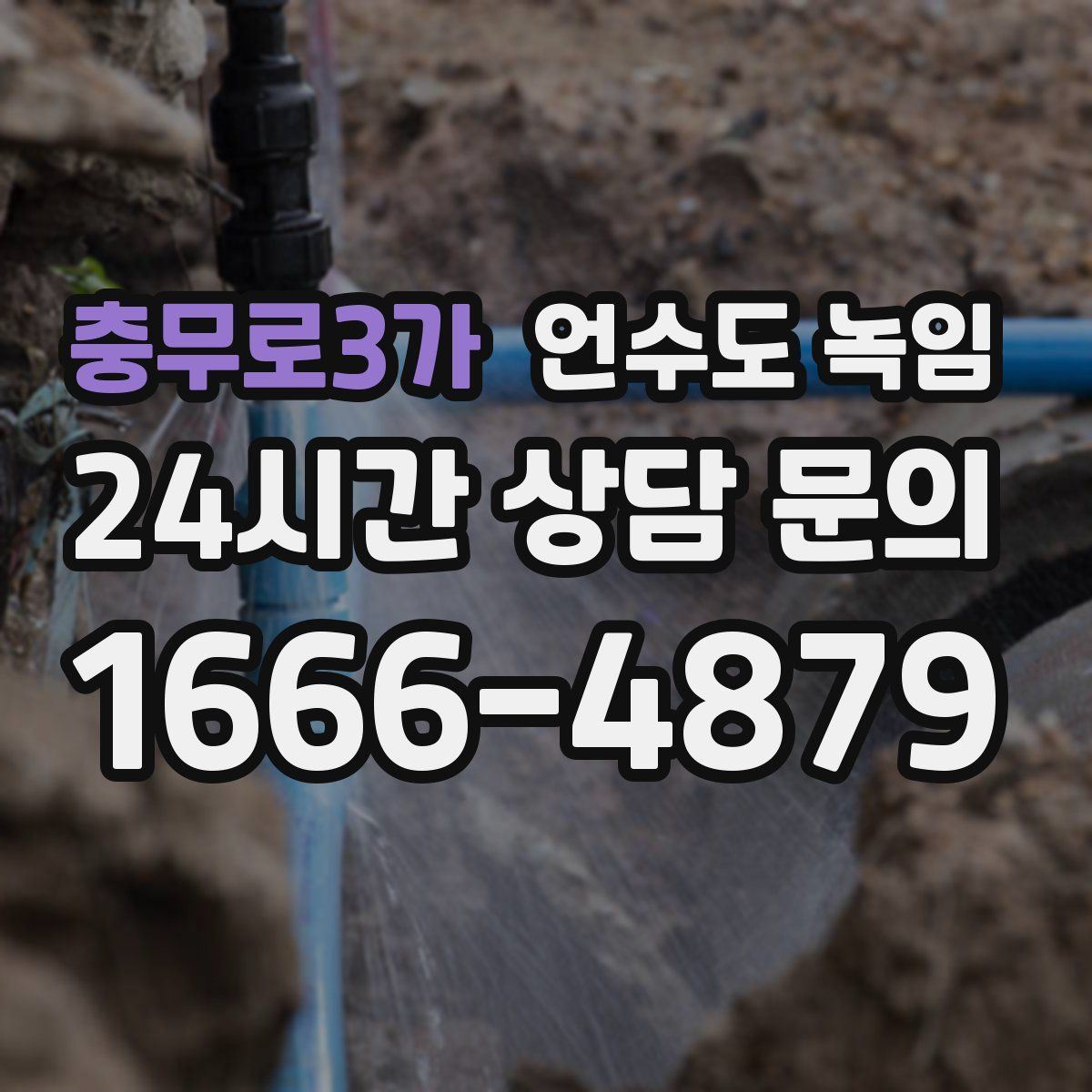 충무로3가 언수도 녹임