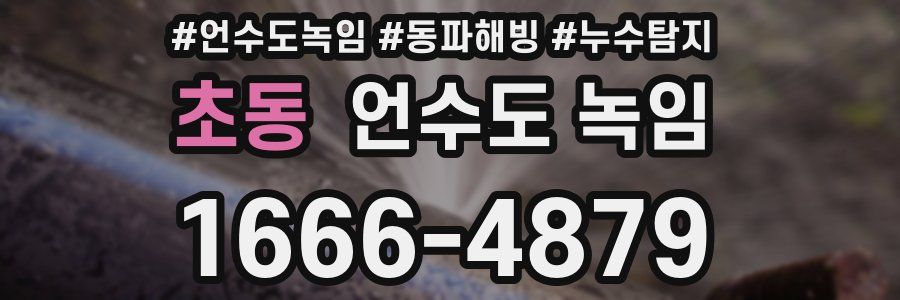 초동 언수도 녹임