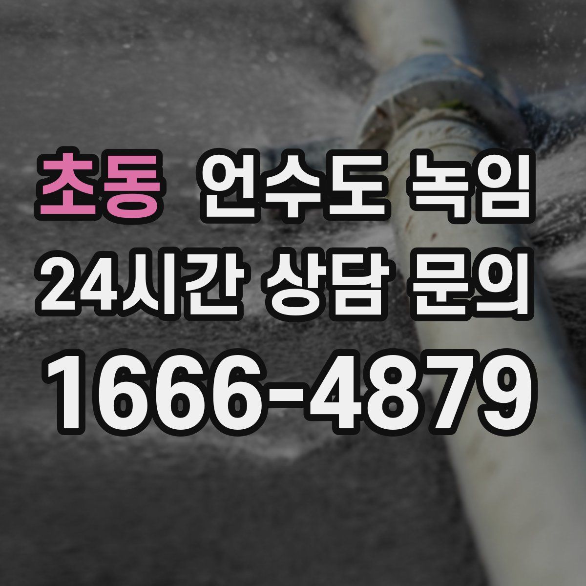 초동 언수도 녹임