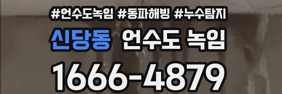 신당동 언수도 녹임