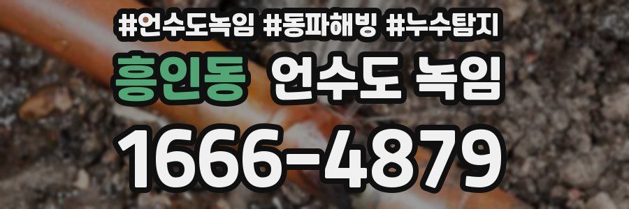 흥인동 언수도 녹임