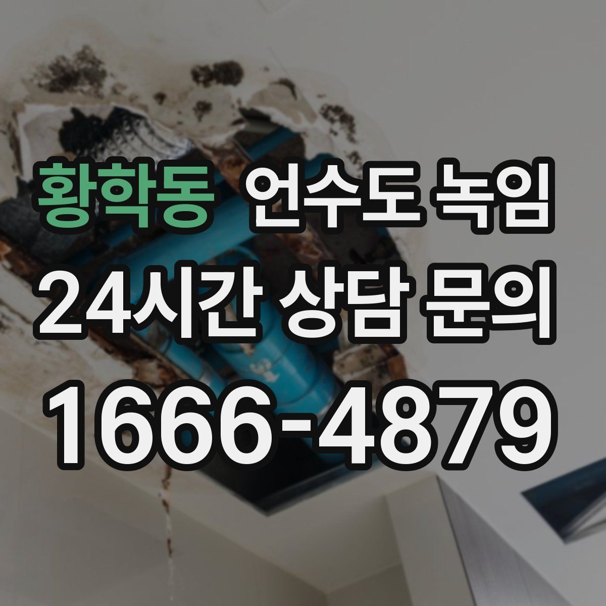 황학동 언수도 녹임