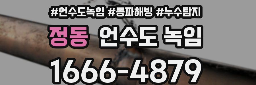 정동 언수도 녹임