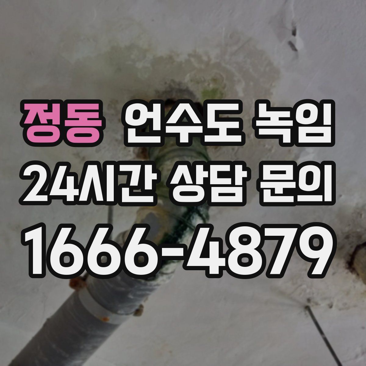 정동 언수도 녹임