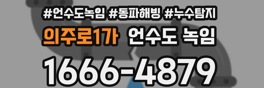 의주로1가 언수도 녹임