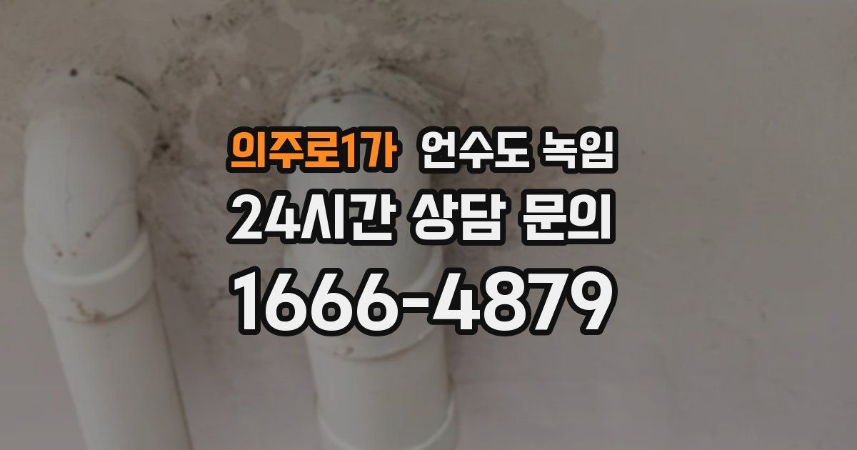 의주로1가 언수도 녹임