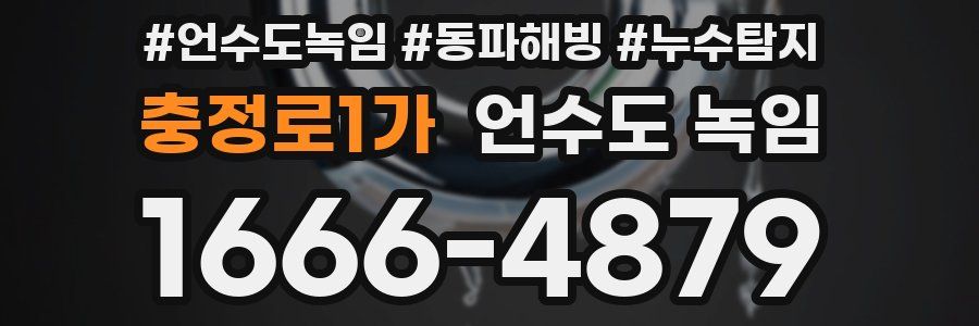 충정로1가 언수도 녹임