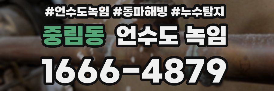 중림동 언수도 녹임