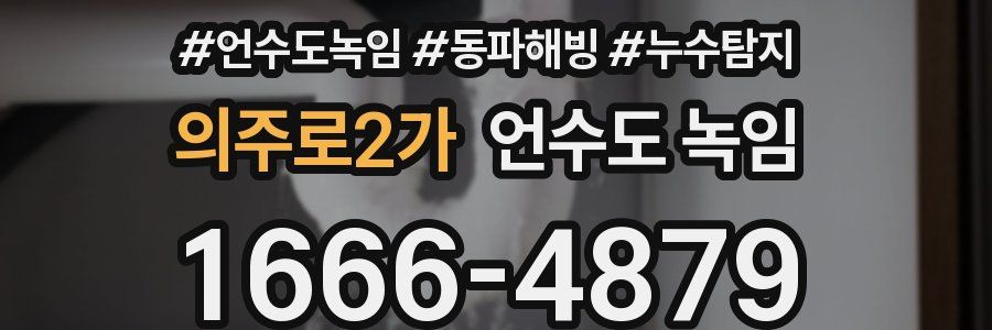 의주로2가 언수도 녹임