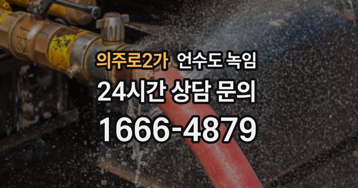의주로2가 언수도 녹임