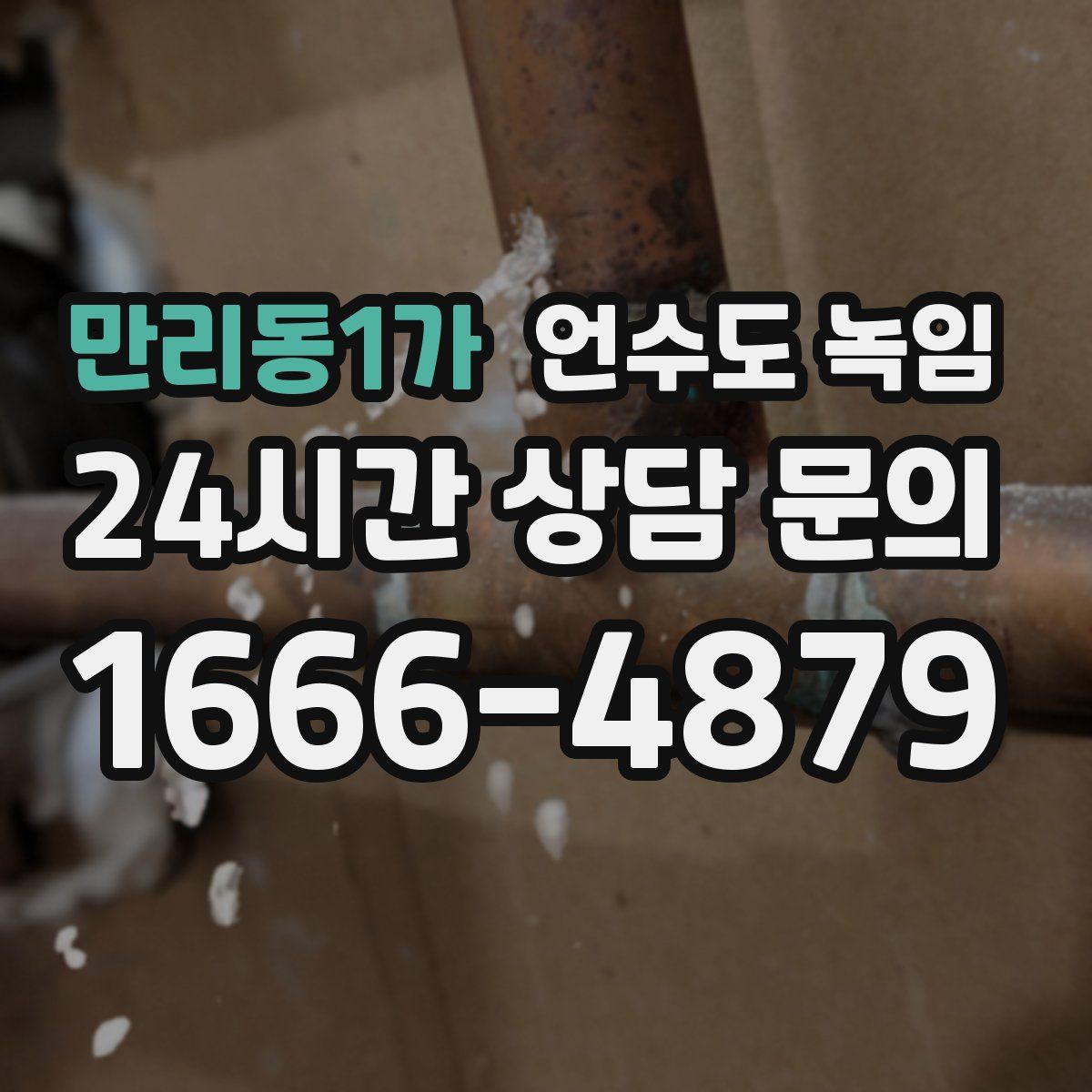 만리동1가 언수도 녹임