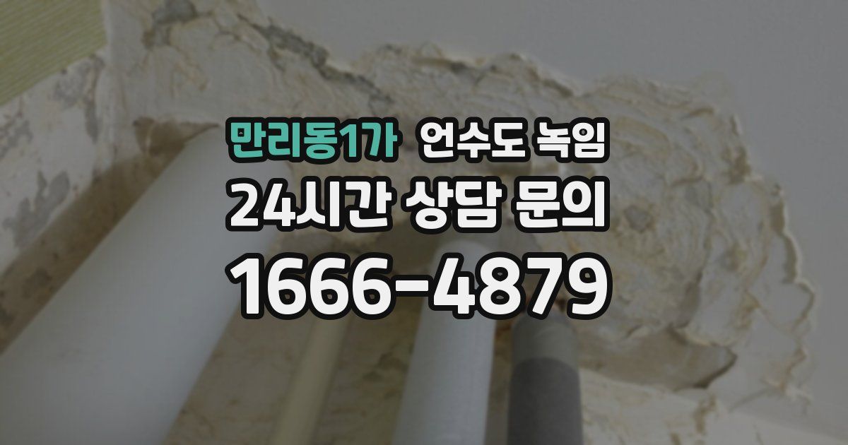 만리동1가 언수도 녹임