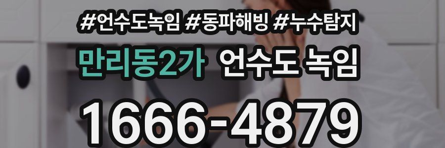 만리동2가 언수도 녹임