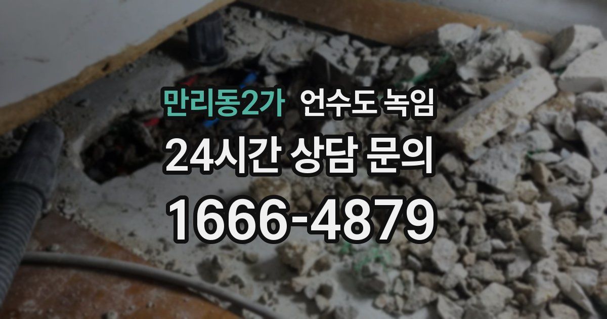 만리동2가 언수도 녹임