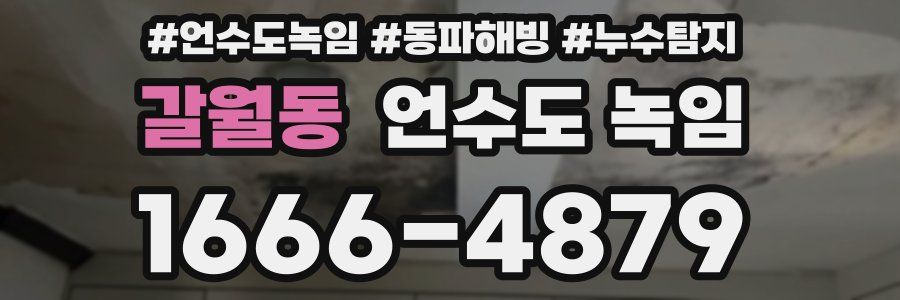 갈월동 언수도 녹임