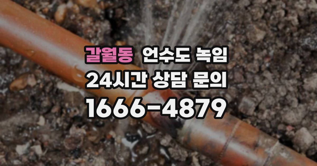 갈월동 언수도 녹임