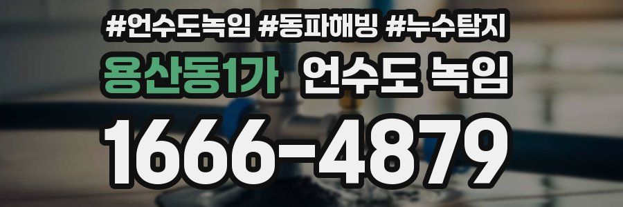 용산동1가 언수도 녹임