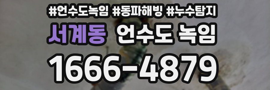 서계동 언수도 녹임