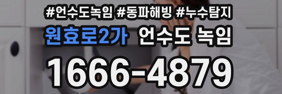 원효로2가 언수도 녹임