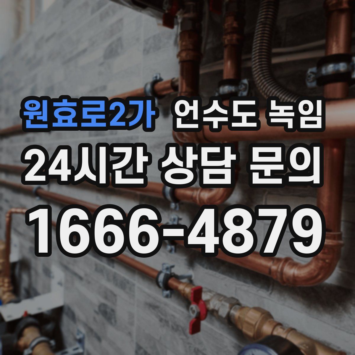 원효로2가 언수도 녹임