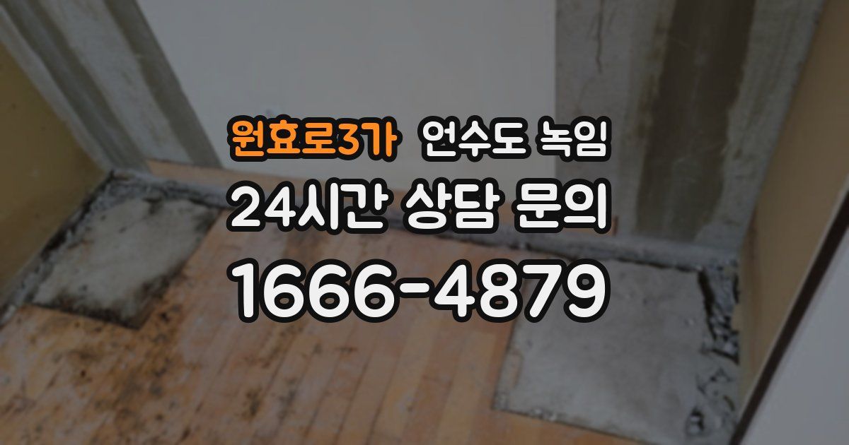 원효로3가 언수도 녹임