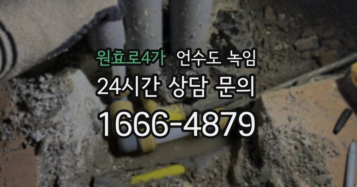 원효로4가 언수도 녹임