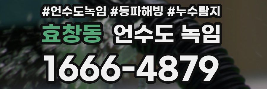 효창동 언수도 녹임