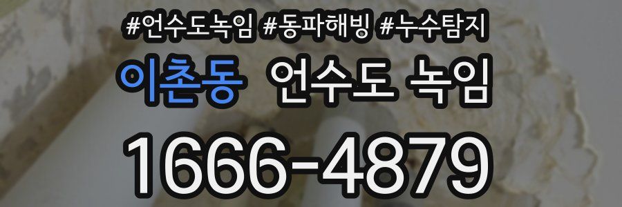 이촌동 언수도 녹임