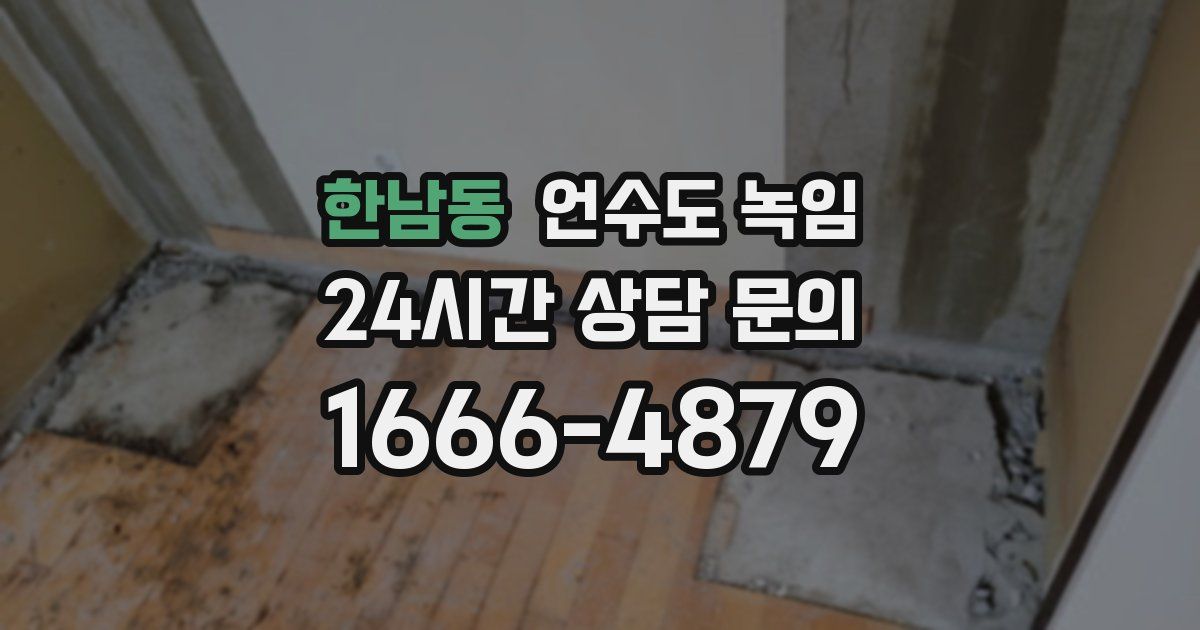 한남동 언수도 녹임